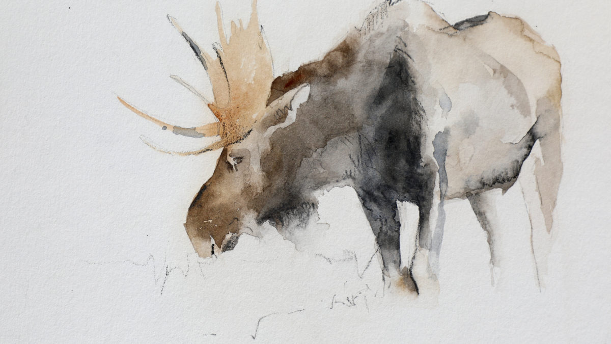 Kathryn Mapes Turner | Artist | Jackson Hole, Wyoming