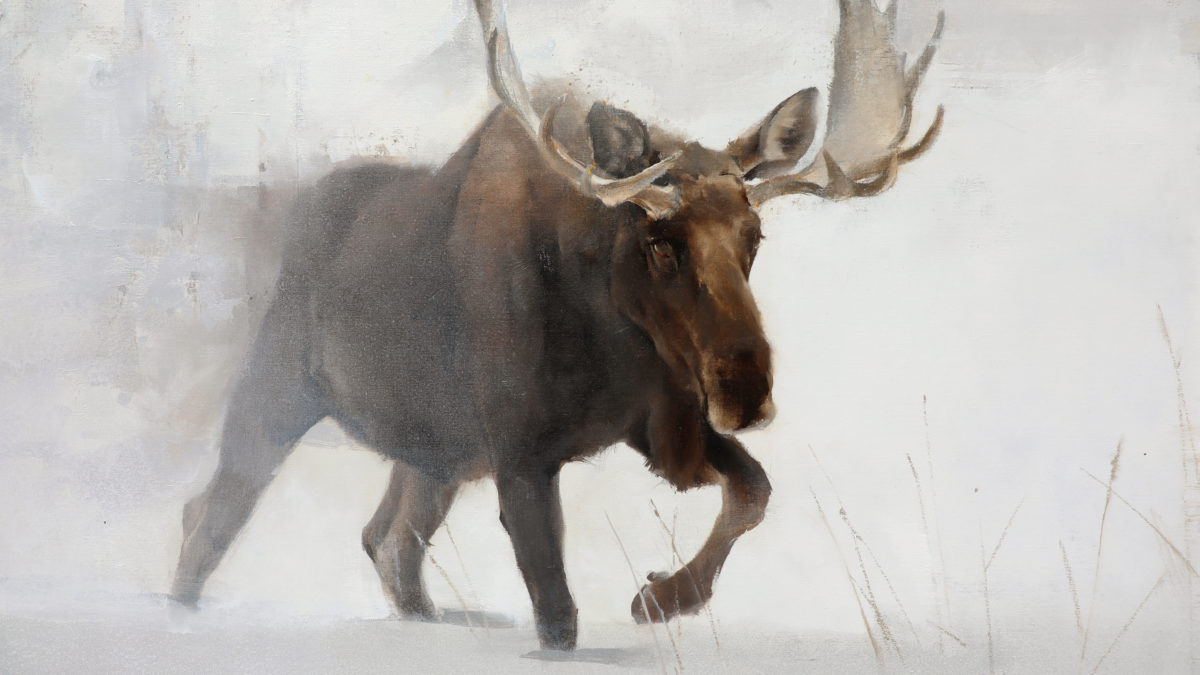 Wildlife Art Kathryn Mapes Turner Jackson Hole Wyoming